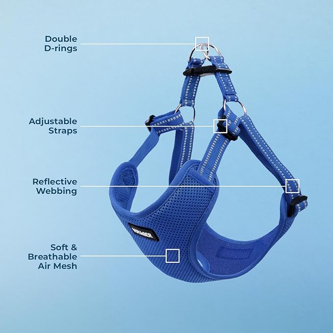 Best Pet Supplies Voyager Adjustable Step-in Flex Breathable Mesh Dog Harness for Small Medium Large Dogs (Royal Blue), XL