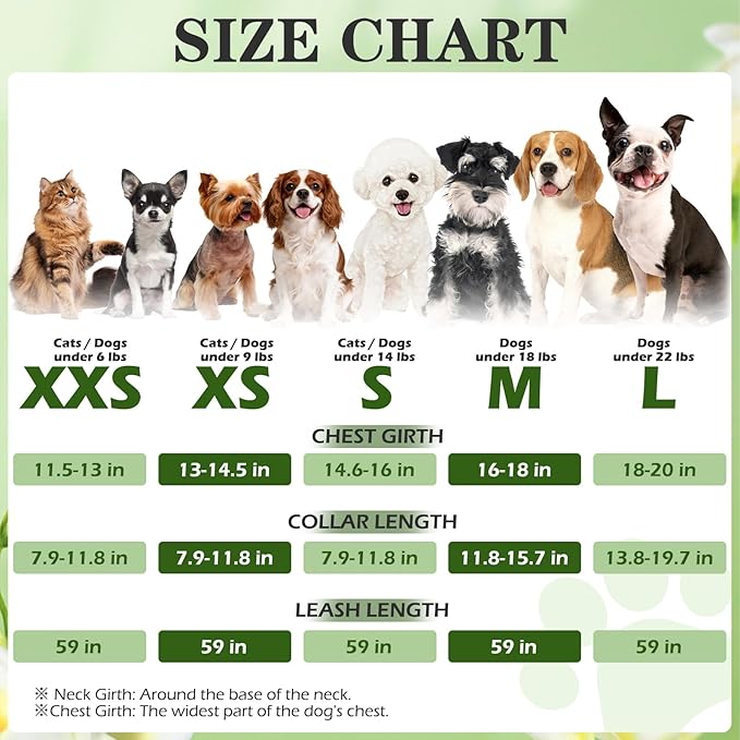 EXPAWLORER Small Dog Valentines Harness and Leash Set - Cute Puppy Harness Leash Dog Collar with AirTag Holder Silicone Case, Soft Padded Step in Pet Vest Reflective for Outdoor Walking, Heart M