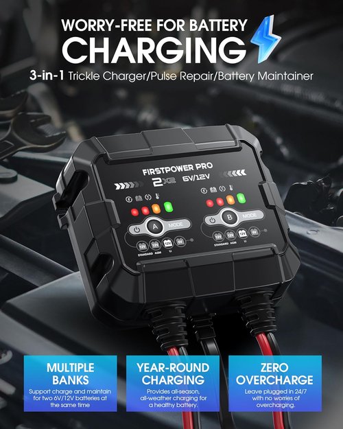 2-Bank Trickle Charger by [Brand Name] | 4A Automotive Battery Maintainer for 12V & 6V Batteries