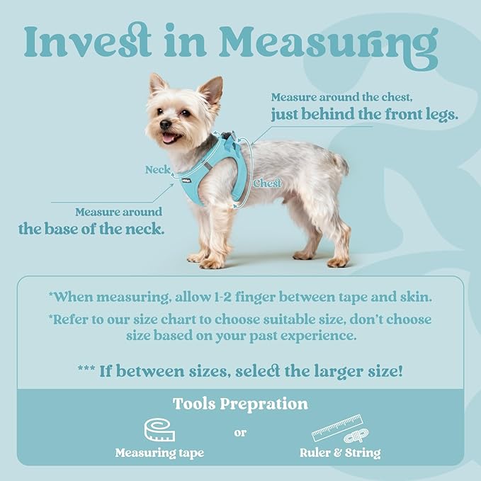 rabbitgoo Small Dog Harness, Step-in Soft Mesh Puppy Vest with Safety Buckle, Breathable Reflective Pet Harness for Extra Small Dogs, Mint Blue XXXS