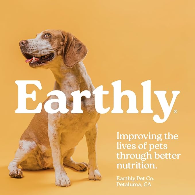 Earthly Pill Buddy Naturals - Beef Recipe Pill Hiding Treats for Dogs - Make A Perfect Pill Concealing Pocket Or Pouch for Any Size Medication - 90 Servings