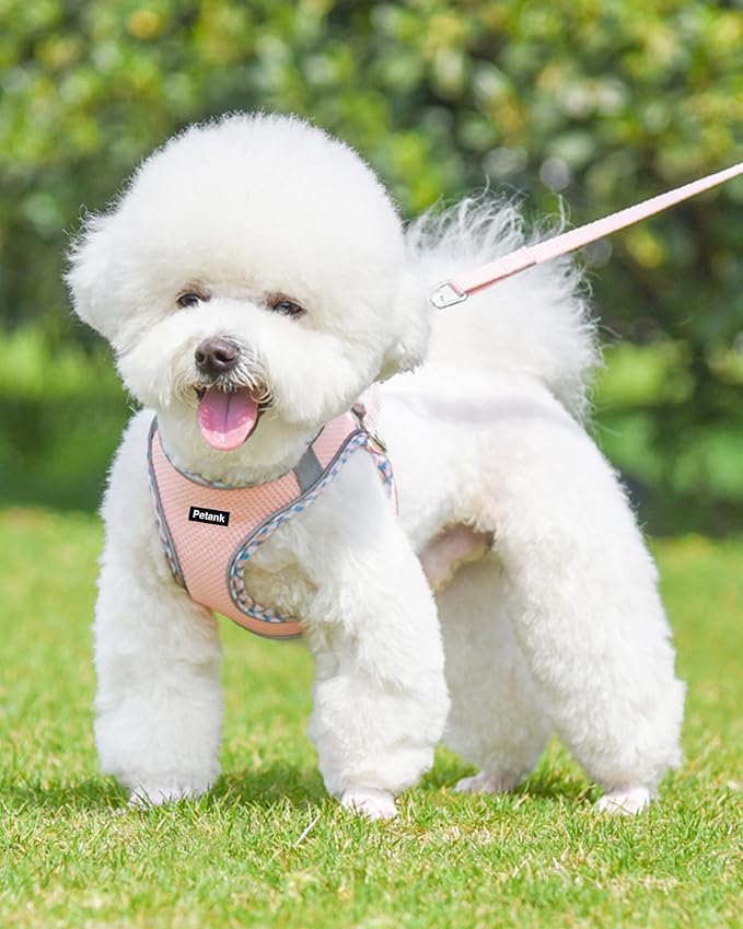 Petank Dog Harness for Small Medium Dogs No Pull, Puppy Harness and Leash Set, Step in Dog Harness for Walking, Running, Training, Small Dog Vest, Medium Dog Vest (Pink, M)