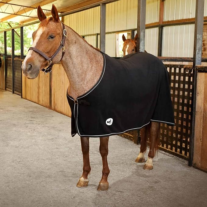 Jeffers Equine Elite Fleece Horse Cooler Blanket, 75 Inch – Soft, Adjustable Fit, Lightweight, Easy Care, Moisture Wicking Cooling Sheet with Surcingle for Post Exercise, Travel for Horses – Black
