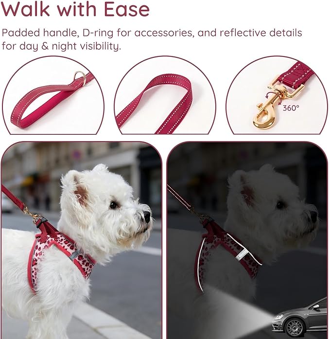 BELLA & PAL Step in Vest Harness for Small and Medium Dogs, No Pull Small Dog Harness with Leash Set, Comfortable Air Mesh Dog Vest Harness with Reflective Strip (Pink Leopard, XS)