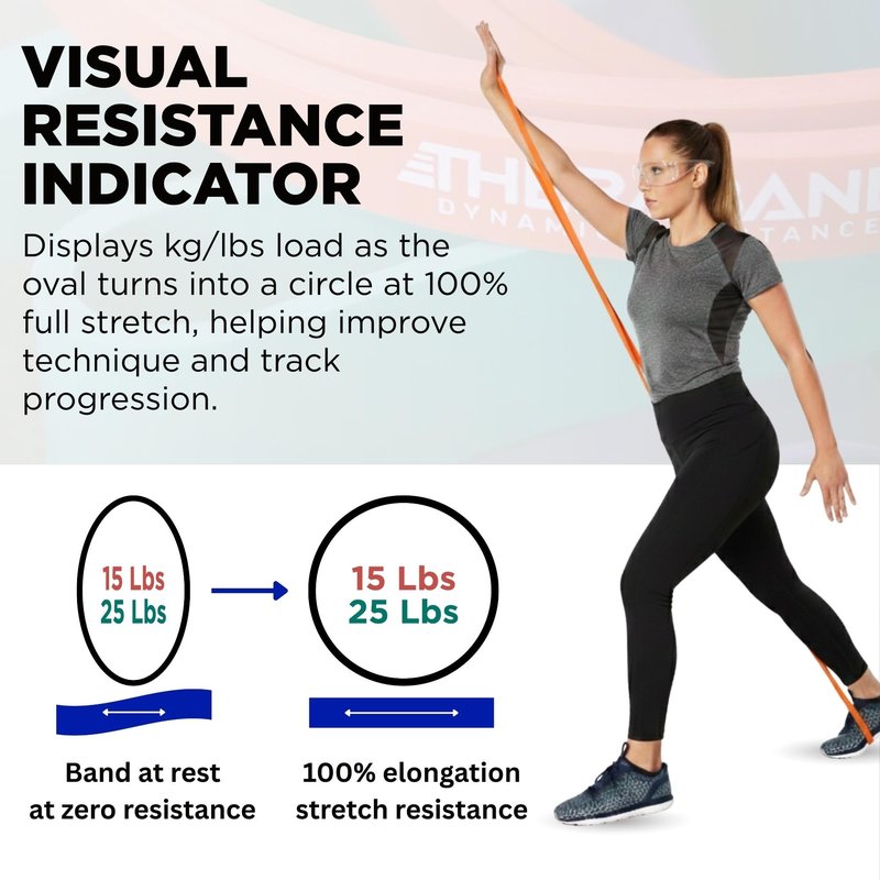 THERABAND High Resistance Bands, Set of 2 Elastic Super Bands for Improving Flexibility, Injury Rehab, & Full Body Workouts, Heavy Duty Stretch Bands for Lifting, 1 Light & 1 Medium Band, Multi
