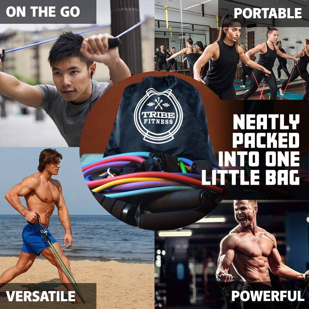 Skiennix Resistance Bands Set - Versatile Fitness Bands for Strength Training & Physical Therapy | Multi-Color Options