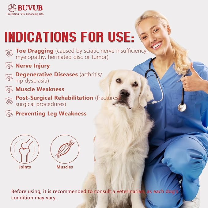Dog Canine Knuckling Brace Rear Leg Dog Foot Brace Wrap for Toe Dragging Cause by Sciatic Nerve Insufficiency, Myelopathy, Herniated Disc (Small)