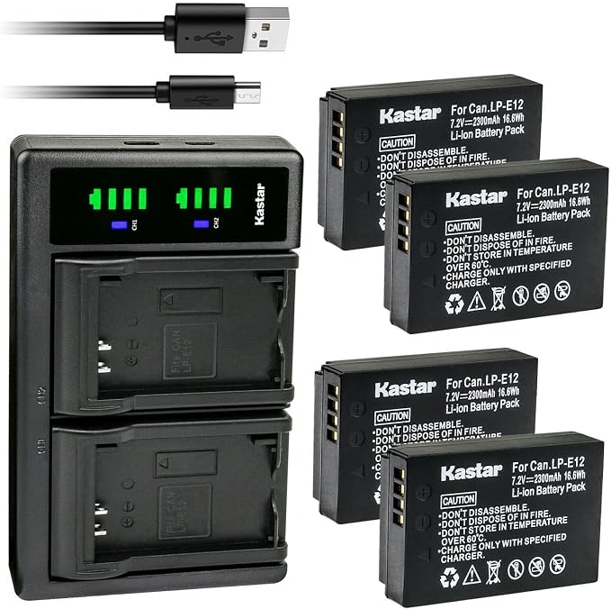 Kastar 4-Pack Battery and LTD2 USB Charger
