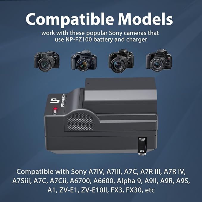 LP NP-FZ100 Battery and Charger, 2600mAh 2-Pack Replacement Battery