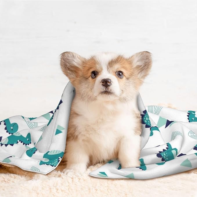 Dog and Cat Blanket in One, Funny Dinosaur Green, Double Sided Plush Throw with Raised Dot Pattern on One Side and Flat Velvet on Other for Variety