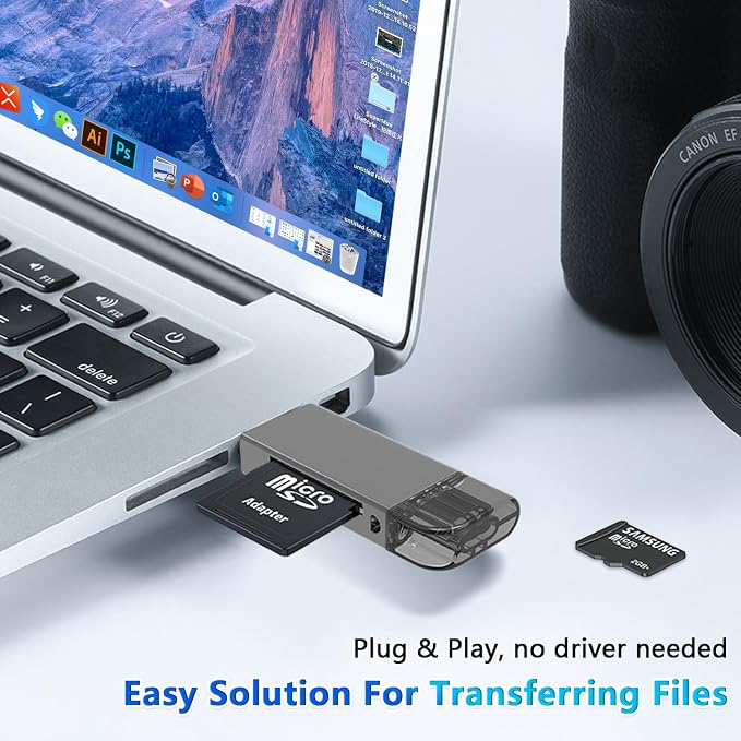 Dual Slot SD Card Reader