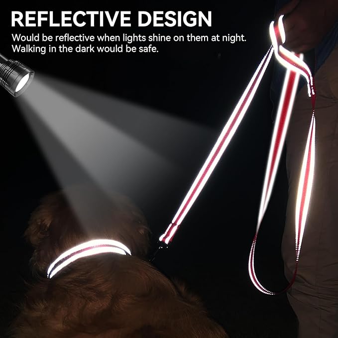 Joytale Dog Leash, 5 FT Double-Sided Reflective, Padded Handle Nylon Heavy Duty Leashes for Medium & Large Dogs Walking, Red