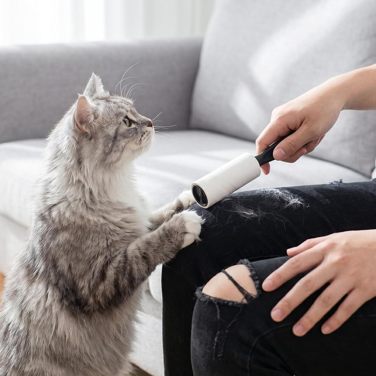 24 Pcs Mini Lint Roller for Travel 360 Sheets Bulk Small Lint Removers for Pet Hair, Cleaning Clothes Furniture Car Seat, Travel Accessories Portable Size Sticky Removing Tool
