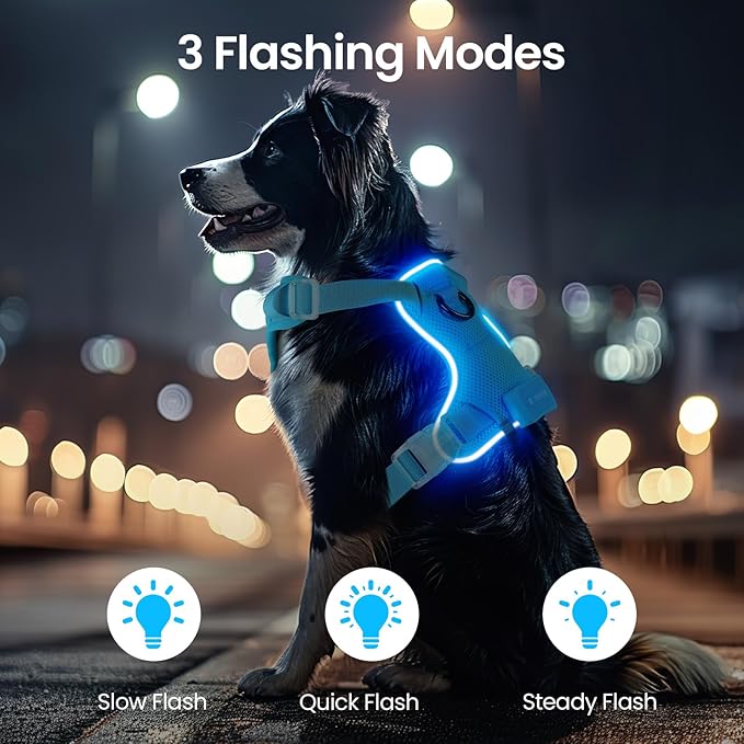 Light Up Dog Harness,Reflective Pet Harness Rechargeable,Led Dog Vest Harness for Night Walking,Adjustable Dog Safety Vest for Small Medium Large Dogs-No Pull,Blue,M