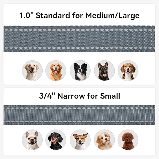 Joytale Dog Leash, 4 FT Double-Sided Reflective, Padded Handle Nylon Heavy Duty Leashes for Small Dogs Walking, Grey