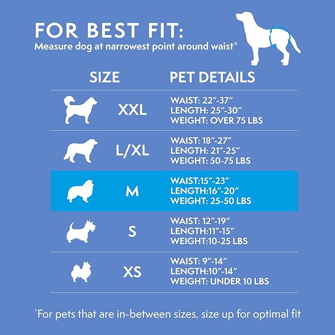 Simple Solution Disposable Female Dog Diapers, Absorbent Leak Proof Protection for Incontinence, Puppy Training, Heat Cycle, Travel, and Housebreaking, Medium Dogs, 15–23 Inch Waist, 12 Count