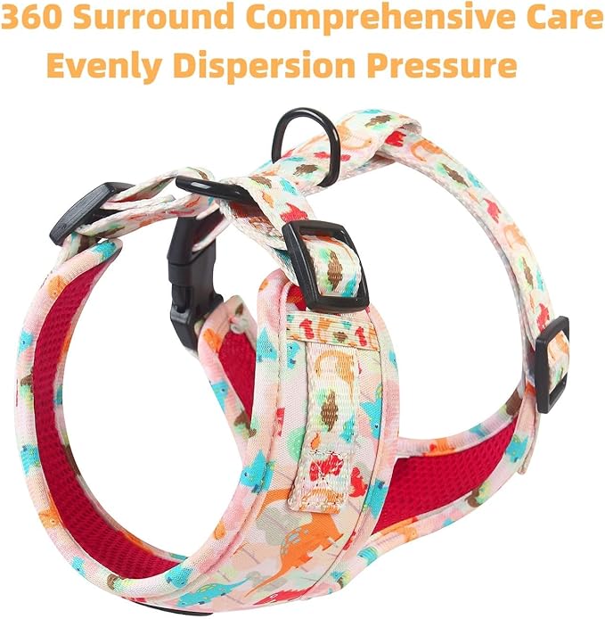 Adjustable Dog Harness and Leash Set for Girl Air Mesh Dog Vest Harness 5Ft Pet Training Leash with Soft Handle Pet Escape Proof for Small Medium Large Dogs (Dinosaur, XS)