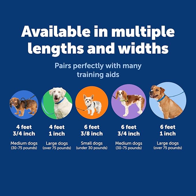 PetSafe Nylon Leash - Helps Maintain Secure Connection on Walks - Durable Pet Leash with Easy Clip - 3/4 in. x 6 ft. - Deep Purple