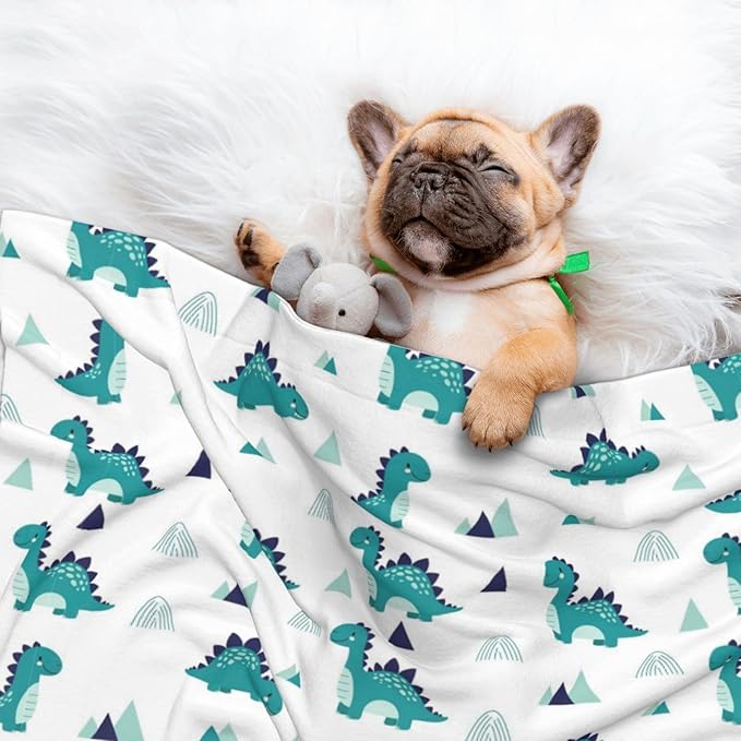 Dog and Cat Blanket in One, Funny Dinosaur Green, Double Sided Plush Throw with Raised Dot Pattern on One Side and Flat Velvet on Other for Variety