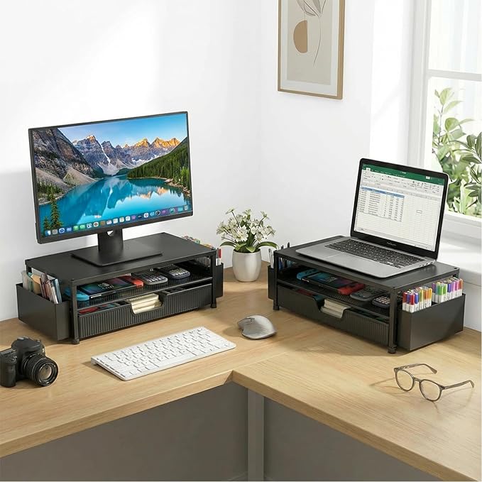 ECOLOVI Desk Organizer and Accessories, 2-Tier Computer Monitor Stand Rise