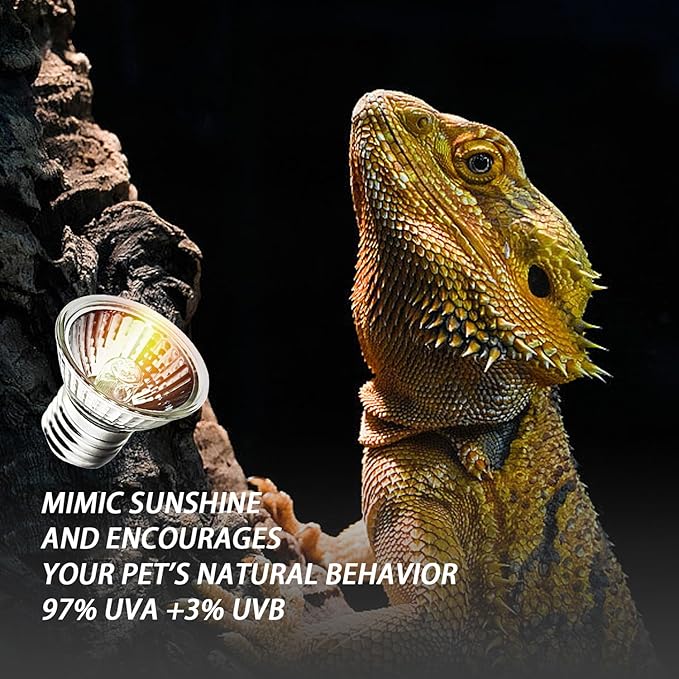 50W UVA UVB Bulbs, 6-Pack Light Turtle Heat Lamp for Reptiles and Amphibian Tanks, Terrariums and Cages, Fit E26 Heat Reptile Lamp,Works with Various Lamp Fixtures