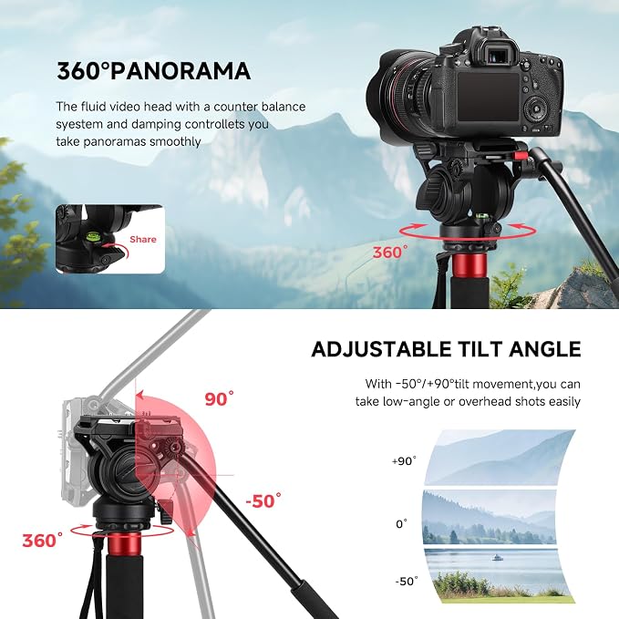 Avella CD324 Carbon Fiber Video Monopod Kit,