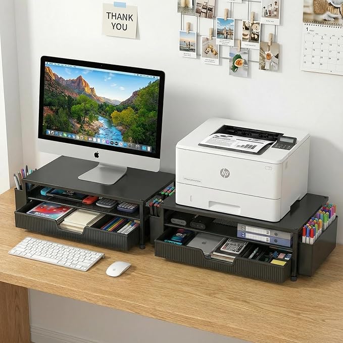 ECOLOVI Desk Organizer and Accessories, 2-Tier Computer Monitor Stand Rise