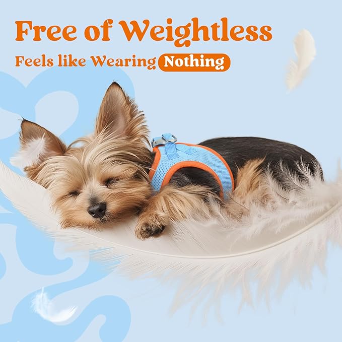 rabbitgoo Small Dog Harness, Step-in Soft Mesh Puppy Vest with Safety Buckle, Breathable Reflective Pet Harness for Small Sized Dogs, Blue & Orange XS