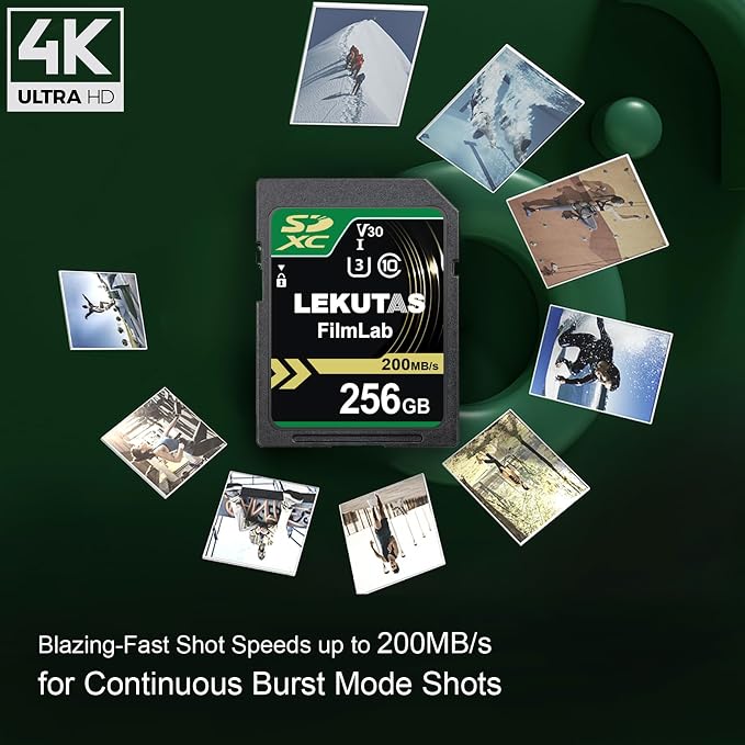 256GB SDXC UHS-I Memory Card
