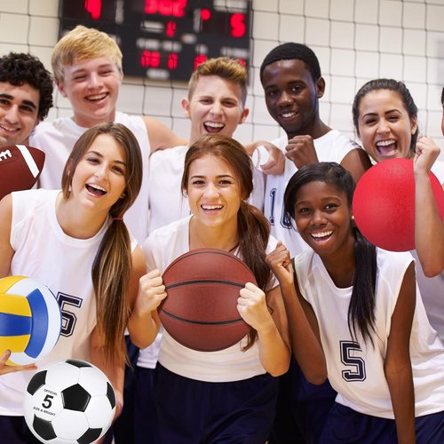 Deekin 12 Pcs Sport Ball Set - Official Size Basketball, Football, Volleyball & More | Includes Bag & Pump