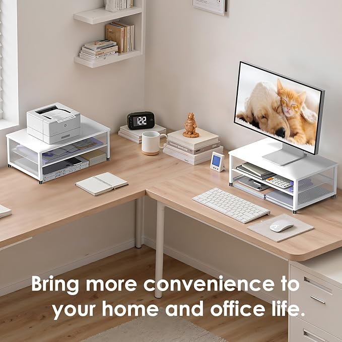 ECOLOVI 2-Tier Computer Monitor Stand Riser, Desk Organizer