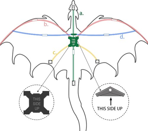 JEKOSEN Fiery Dragon Kite - 54" Easy-to-Fly Design with 160" Tail for Family Outdoor Fun