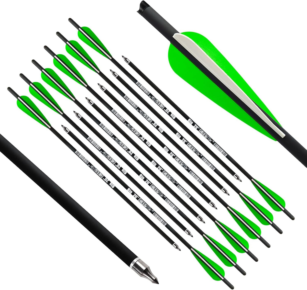 REEGOX Crossbow Bolts - 16/18/20 Inch Bio Arrows with Moon Nocks & Removable Tips | Pack of 12