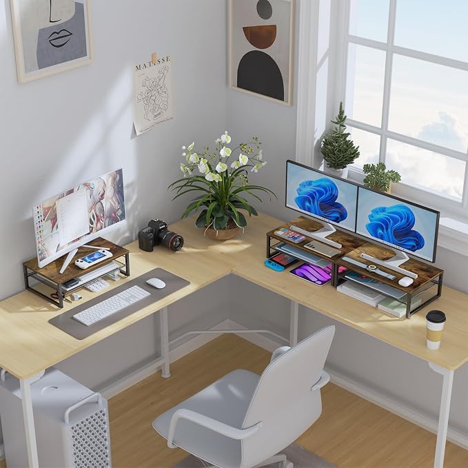 gianotter 2-Tier Metal Monitor Stand Riser, Desk Organizer