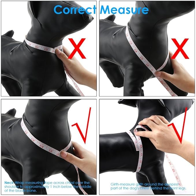 QQPETS Dog Harness Leash Set Adjustable Heavy Duty No Pull Halter Harnesses for Small Medium Large Breed Dogs Back Clip Anti-Twist Perfect for Walking (M(19"-26" Chest Girth), Bone)