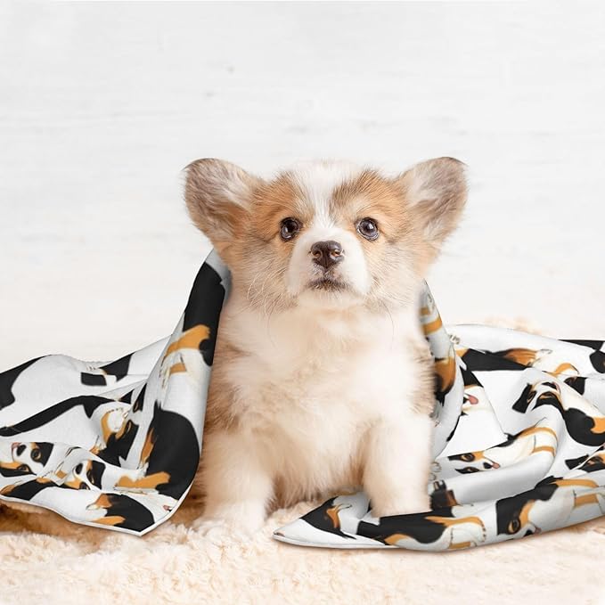 Two Sided Pet Cuddler Blanket for Anxiety Calming, Australian Shepherds Dogs, Reversible Plush Design with Bubble Dot Pattern Provides Familiar Surface Anywhere