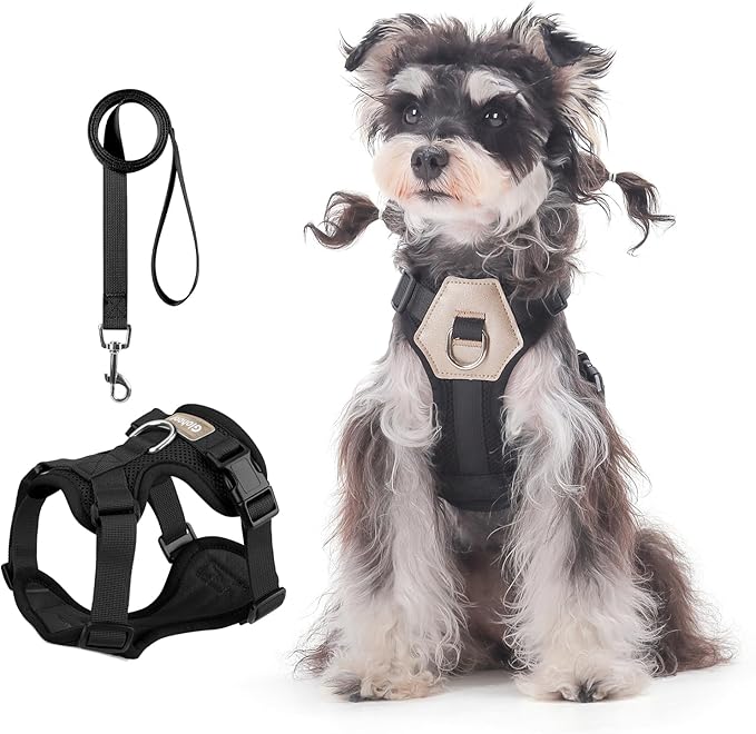 Small Dog Harness and Leash Set, Breathable Mesh Puppy Harness, Adjustable Dog Harness for Small Medium Large Dogs, No-Pull Pet Harness for Daily Walking (Black, Small)