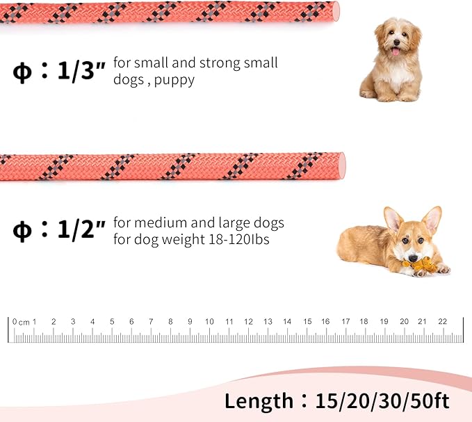 Long Dog Leash for Training 20Ft-Reflective Nylon Rope with Swivel Hook-Recall Agility Lead for Large Small Medium Dogs Outside Walking Hiking-Orange
