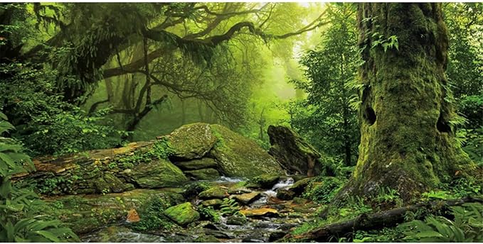 AWERT Tropical Forest Terrarium Background Stream Green Huge Tree Reptile Habitat Background Foggy Rainforest Aquarium Background 48x18 inches Durable Polyester Background