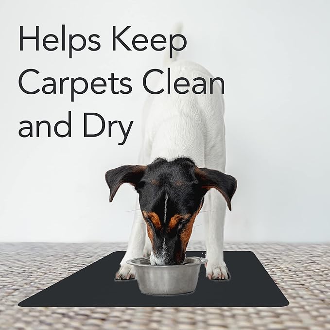 RESILIA Under Pet Cage Mat for Bird Cages, Reptile Aquariums, Dog Kennels, Water-Resistant Pad for Carpeted Floors and Surfaces, 30 Inches x 48 Inches, Clear