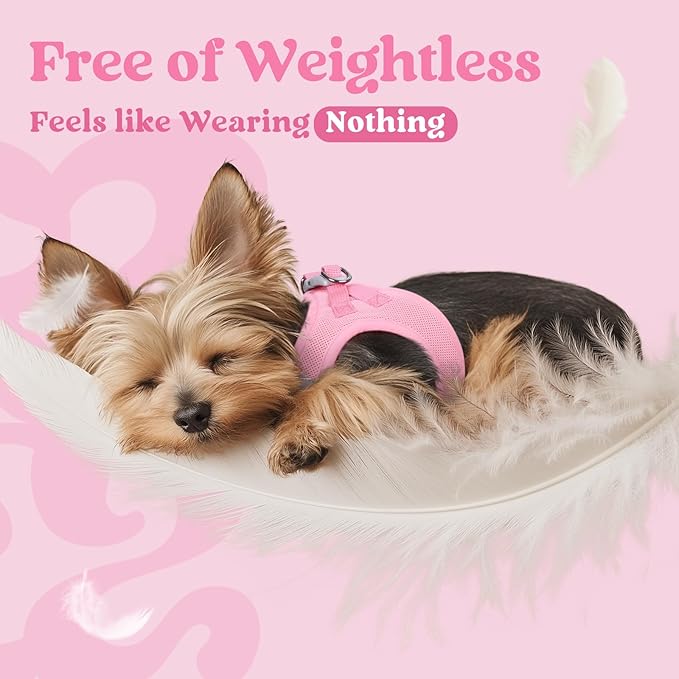 rabbitgoo Small Dog Harness, Step-in Soft Mesh Puppy Vest with Safety Buckle, Breathable Reflective Pet Harness for Large Dogs, Light Pink XXL