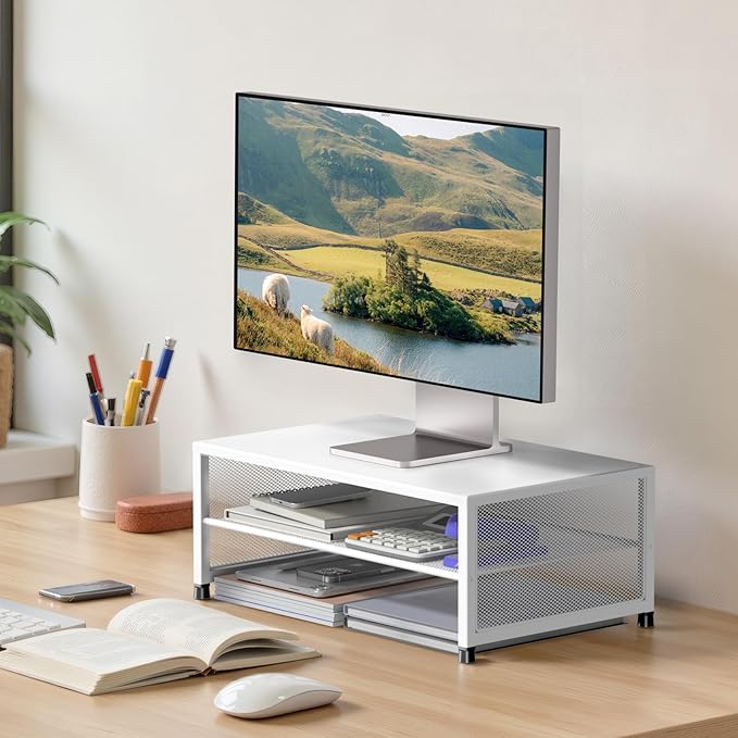ECOLOVI 2-Tier Computer Monitor Stand Riser, Desk Organizer