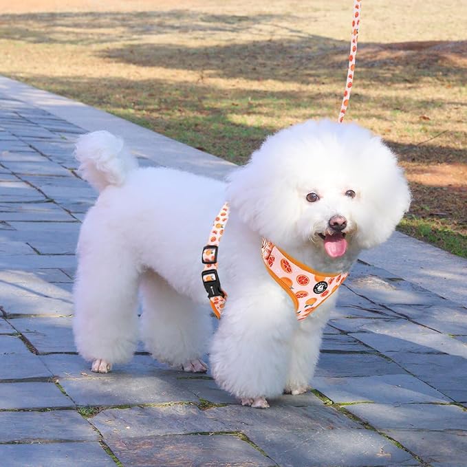 Dog Cat Harness and Leash Set, Puppia Soft Mesh Padded and Adjustable Puppy Vest Cute Dog Clothes Escape Proof Easy Walk Pet Accessories (Grapefruit, M (Neck 13.4"-16.5"; Chest 17.7"-23"))