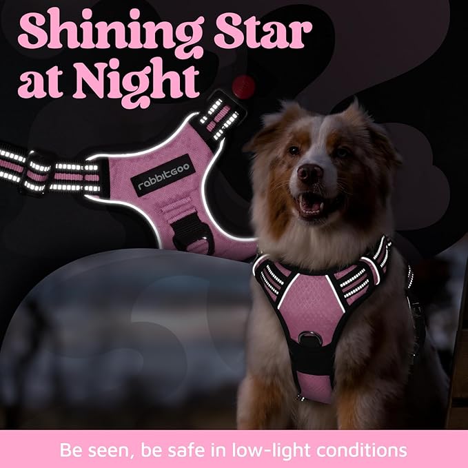rabbitgoo Dog Harness Small Sized, No Pull Dog Vest with 3 Buckles, Adjustable Soft Padded Pet Harness with Easy Control Handle and Reflective Strips, Light Pink, S