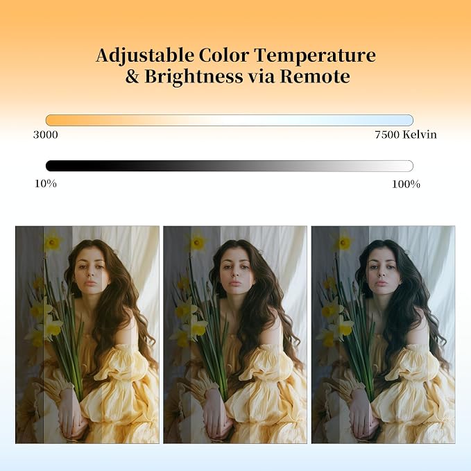 Professional 16''x16'' Softbox Lighting Kit