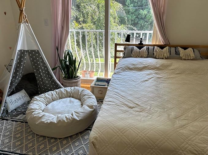 Organic Cotton Canvas Dog Bed: Removable Cover, Natural Fill - Made in USA (Natural, Small 24" x 7" inches)