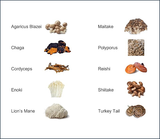 Mushroom Extract Powder - Powerful 10 Blend, Organic Lions Mane, Cordyceps, Reishi, Shiitake, Turkey Tail Mushrooms Nootropic Brain Supplement for Energy, Calm, Focus & Immune System Booster