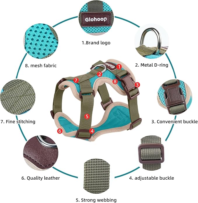 Small Dog Harness and Leash Set, Breathable Mesh Puppy Harness, Adjustable Dog Harness for Small Medium Large Dogs, No-Pull Pet Harness for Daily Walking (Lakeblue, X-Large)