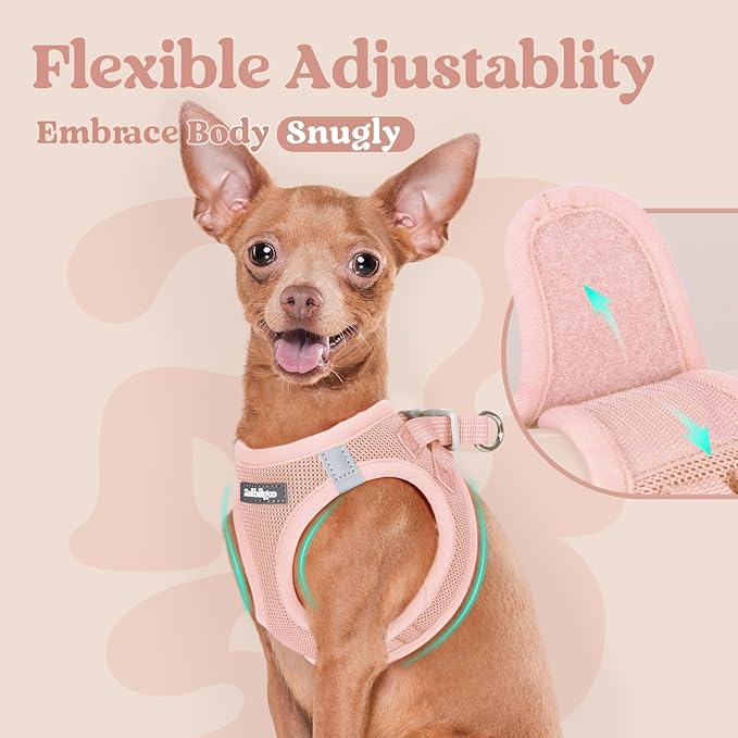 rabbitgoo Small Dog Harness, Step-in Soft Mesh Puppy Vest with Safety Buckle, Breathable Reflective Pet Harness for Extra Small Dogs, Pink XXXS