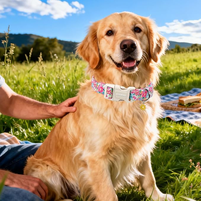 DOGWONG Spring Flower Dog Collar-Cute Floral Daisy Dog Collar, Adjustable Soft Girl Female Dog Collar for Medium Large Dogs, L